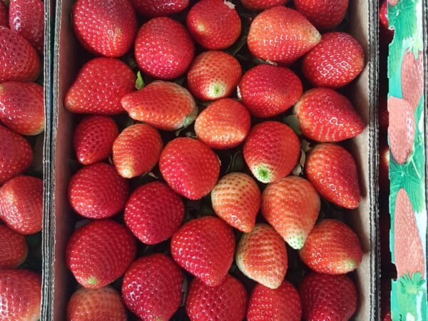 Strawberry