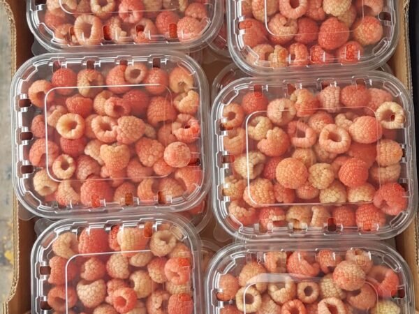 Raspberry